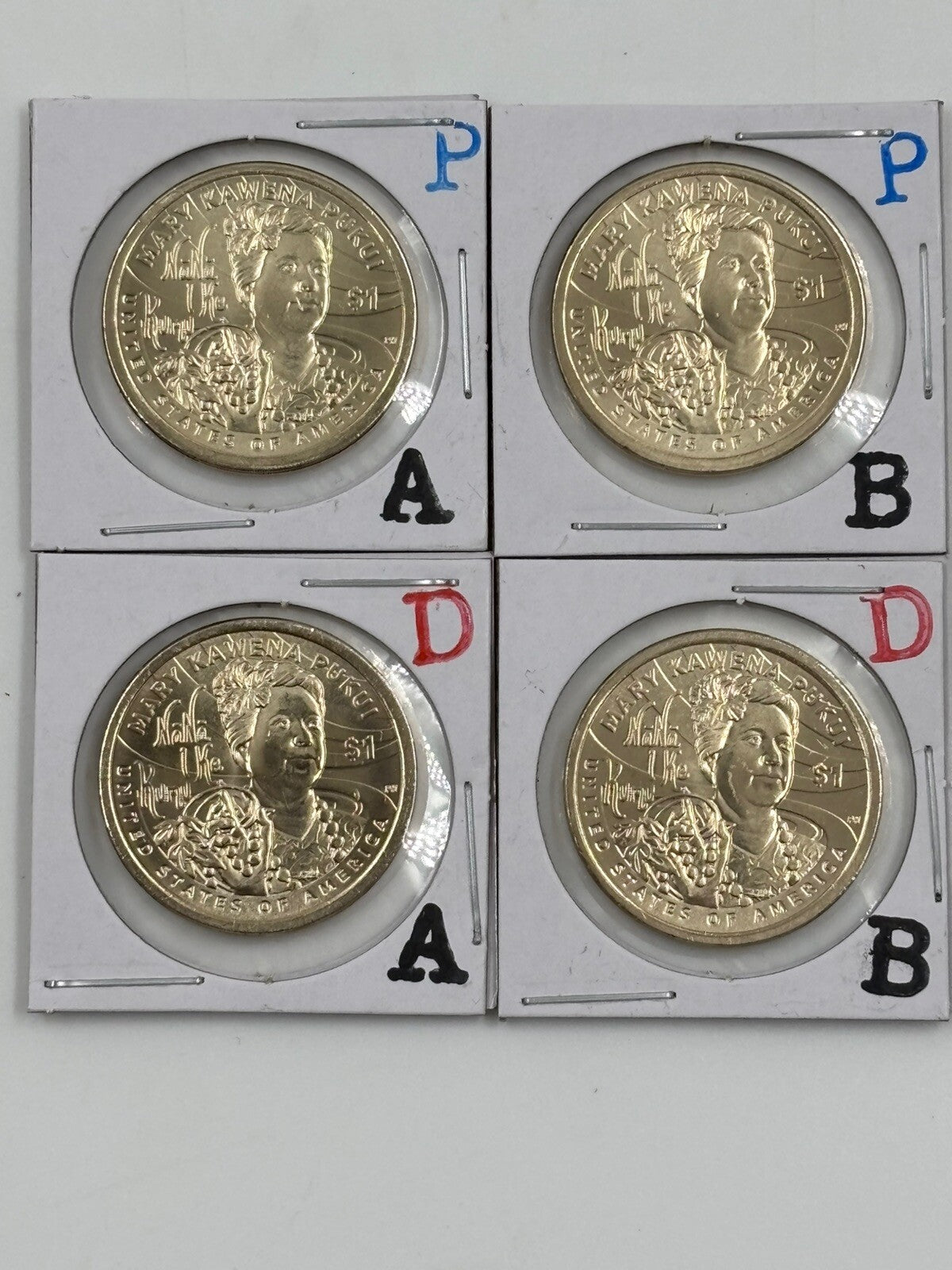 Sacagawea / Native American Program